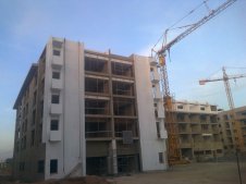 photo0310